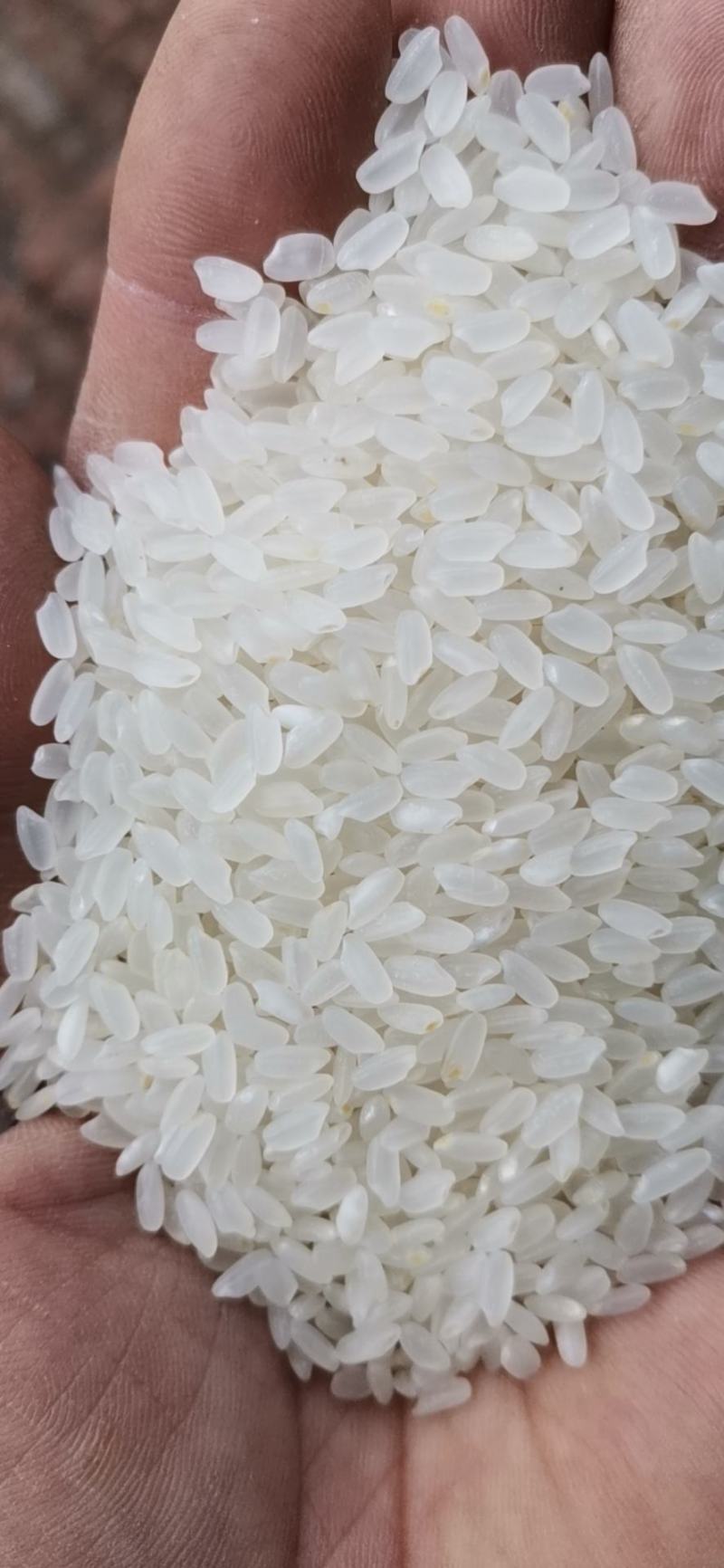 探索农产品批发的新渠道：大米批发市场洞察