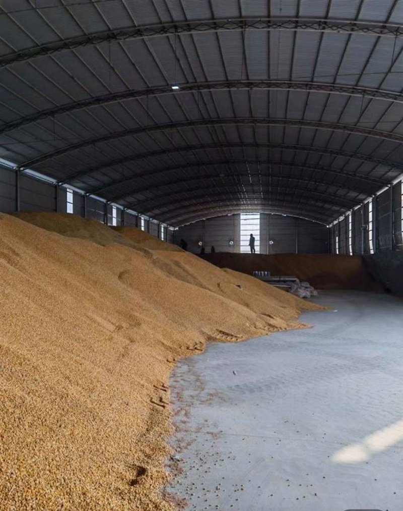 粮油市场风云：走进信阳生鲜市场的粮油批发盛宴